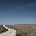 Leonard Cruickshank Profile Picture