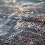 Allan Wehner Profile Picture