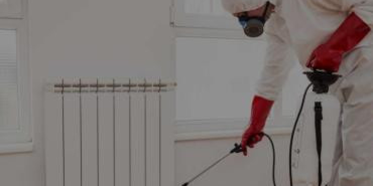 5 Unexpected Signs You Might Need Pest Control in Scarborough