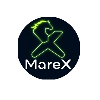 MareX Profile Picture