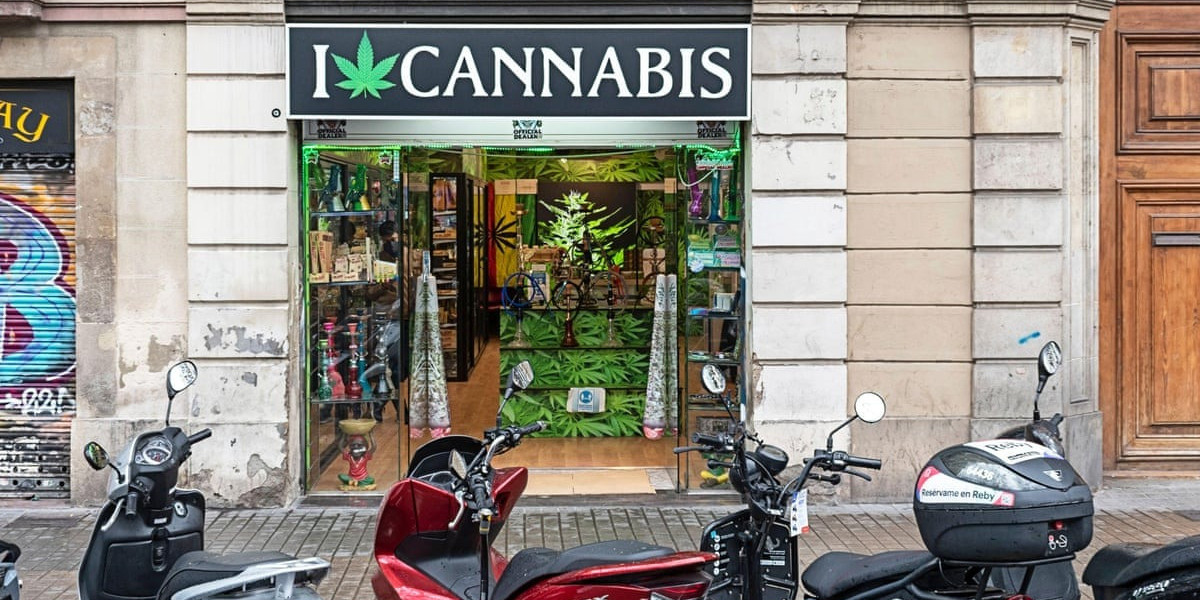 Best Dispensary Near Me – What Makes a Cannabis Shop Stand Out