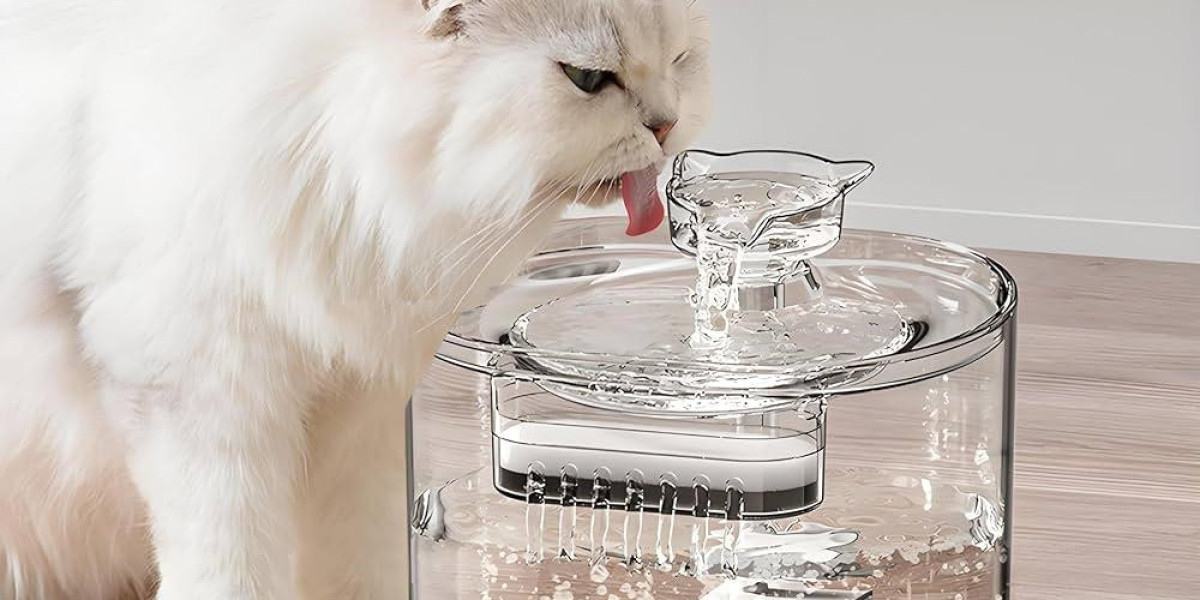 Why Choose a Pawtechpet Intelligent Pet Water Dispenser?