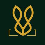 boldbunnyshoe profile picture