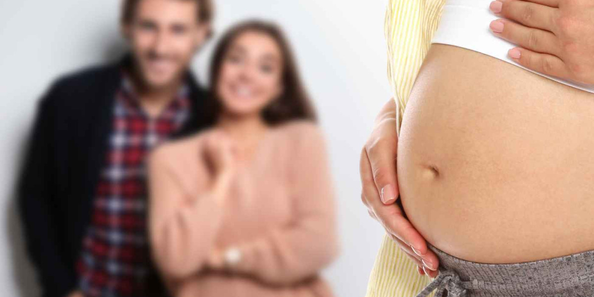 Everything You Should Know to Become a Parent Through Surrogacy