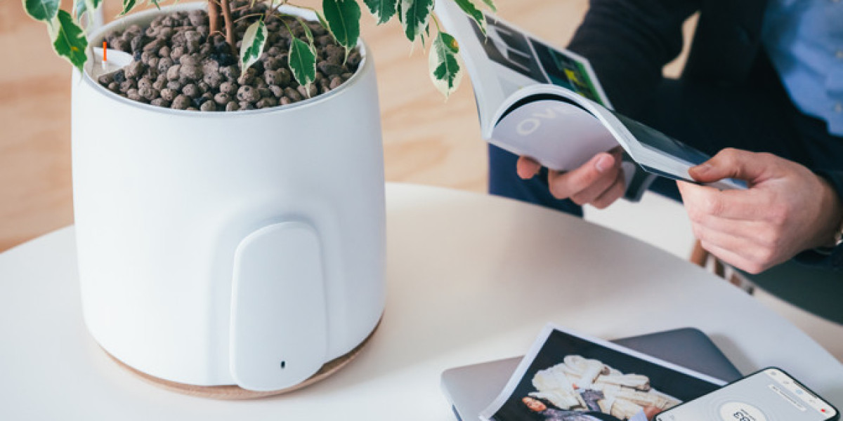 Easy DIY Natural Air Purifiers to Try in Your Living Room