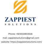 zappiest solutions Profile Picture