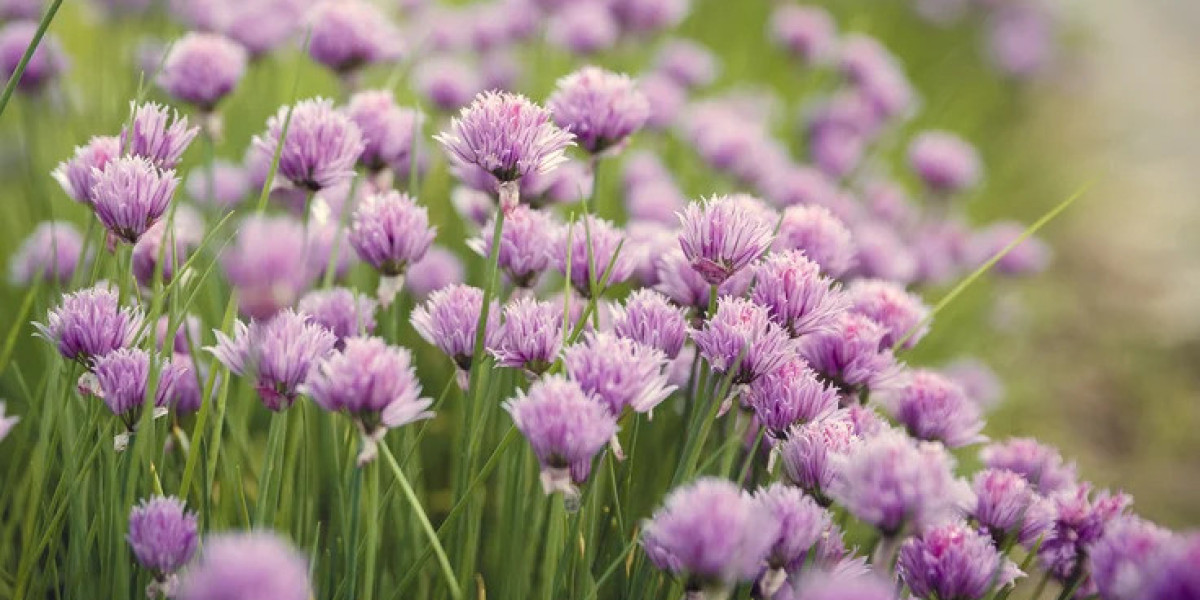 Premium Flower Delivery Dubai by expert professionals at Flowers Mart