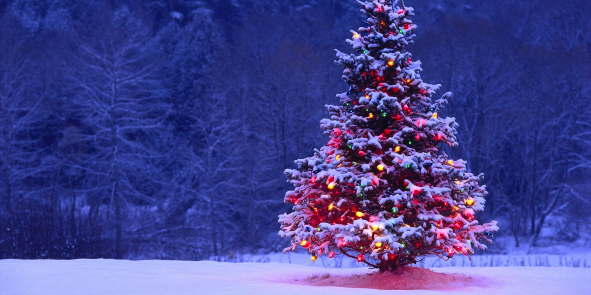 Tall, Bright, and Timeless: Why a Perfect Prelit Christmas Tree is Worth the Investment