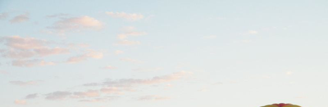 Arizona Balloon Safaris Cover Image