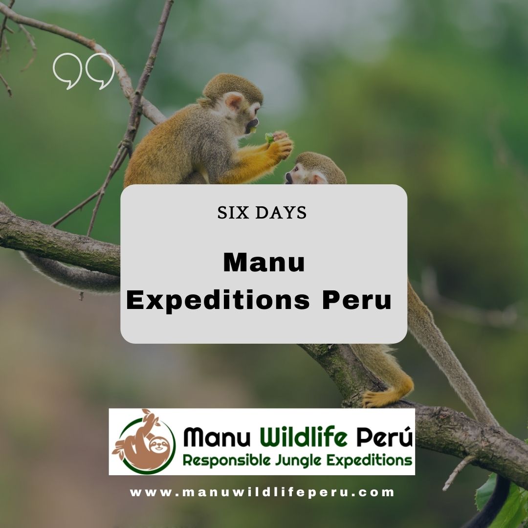 Manu Expeditions Peru - Manu Biosphere Peru UPDATED 2024