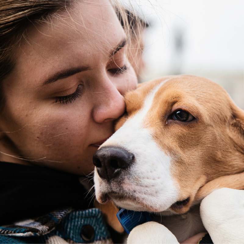 Thoughtful Sympathy Gifts for Pet Loss