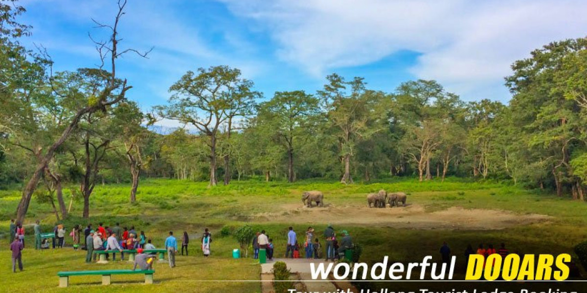 Family-Friendly Dooars Tour Package from NJP for a Memorable Trip
