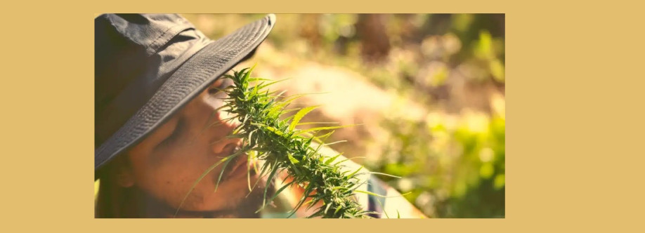 Del Plata Seeds Cover Image