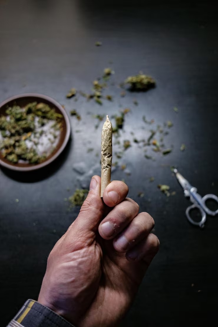 What to Know before Visiting a Weed Dispensary in Albany, NY