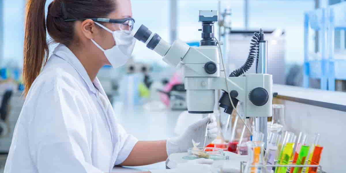 Blood Test at Home: What to Do After Getting Results