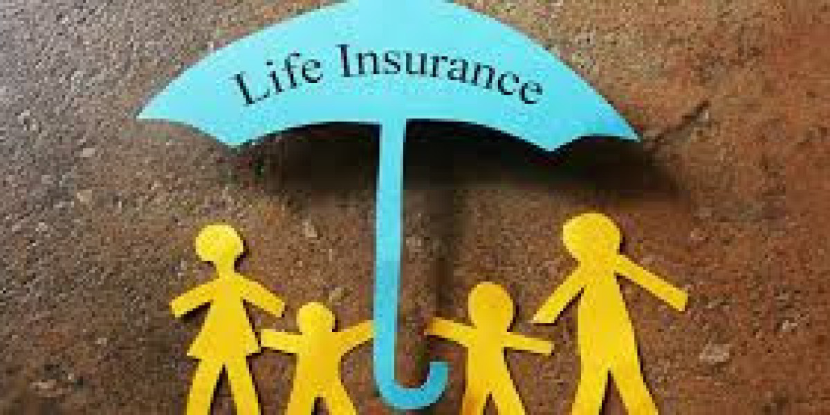 How to Compare Insurance Providers and Choose the Best One for You