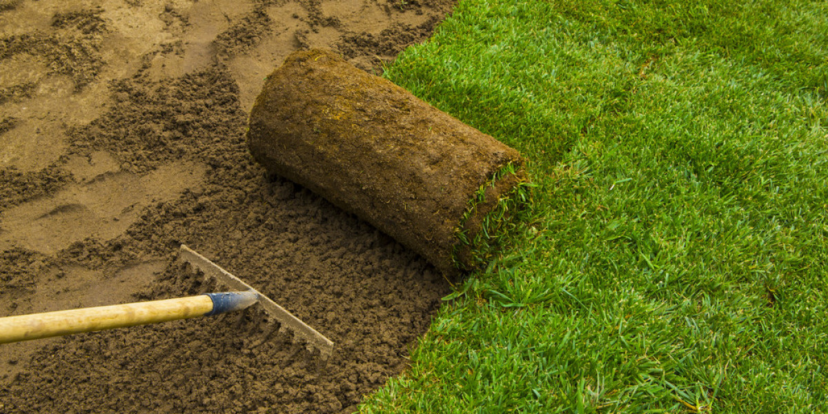 Sod Installation Spring, TX