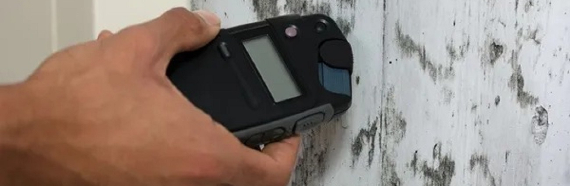 Mould Doctors Cover Image