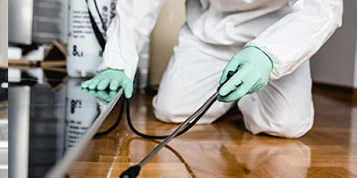 Importance of Pest Control Services in Scarborough