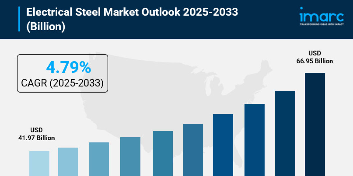 Electrical Steel Market 2025: Size, Trends, Global Industry Overview, and Forecast to 2033