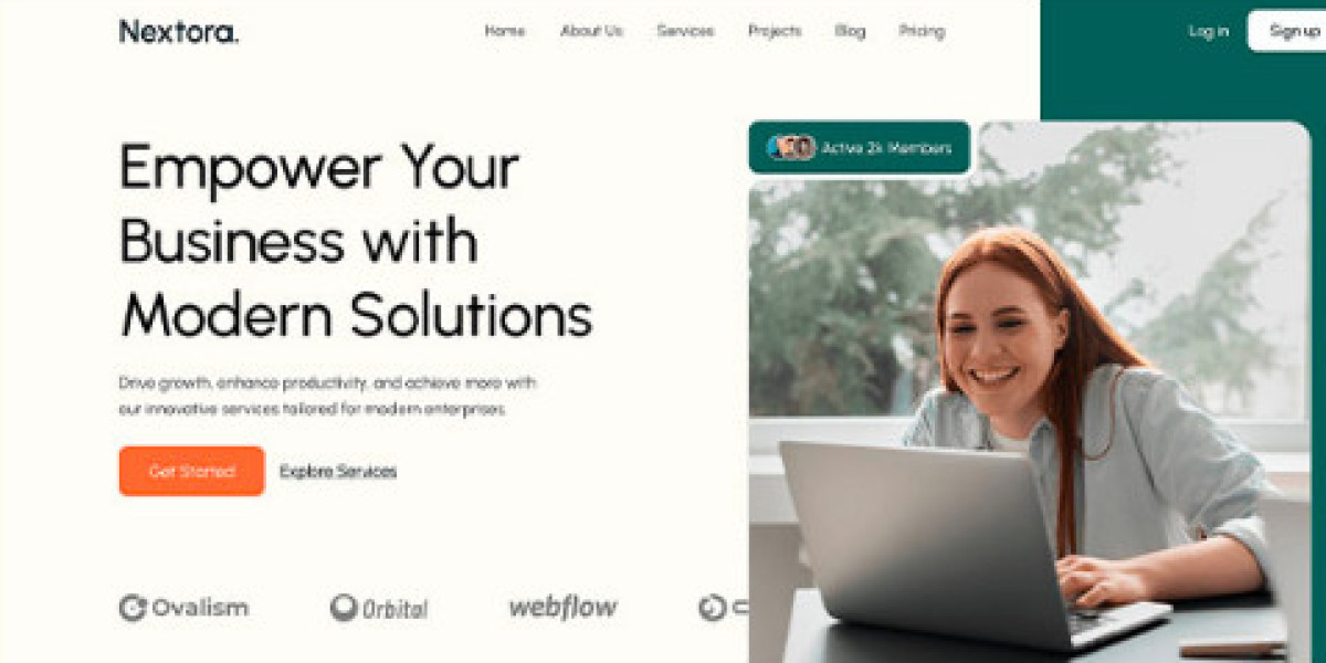 Professional Landing Page Design Services in USA to Maximize Conversions