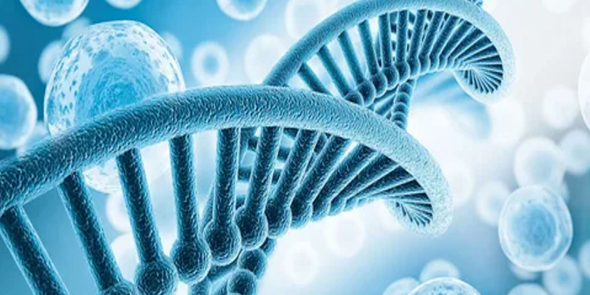 Bone Marrow Biopsy and Aspiration Needle Market Regional Analysis, Demand Analysis and Competitive Outlook 2025-2032