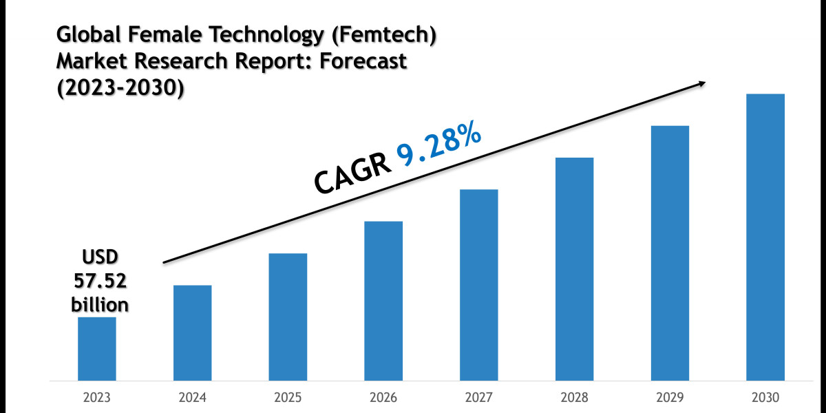 Female Technology (Femtech) Market Size, Share and Forecast Analysis to 2028