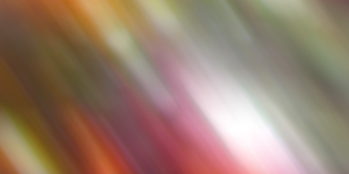 Staatsunabhängige Theologische Hochschule Basel