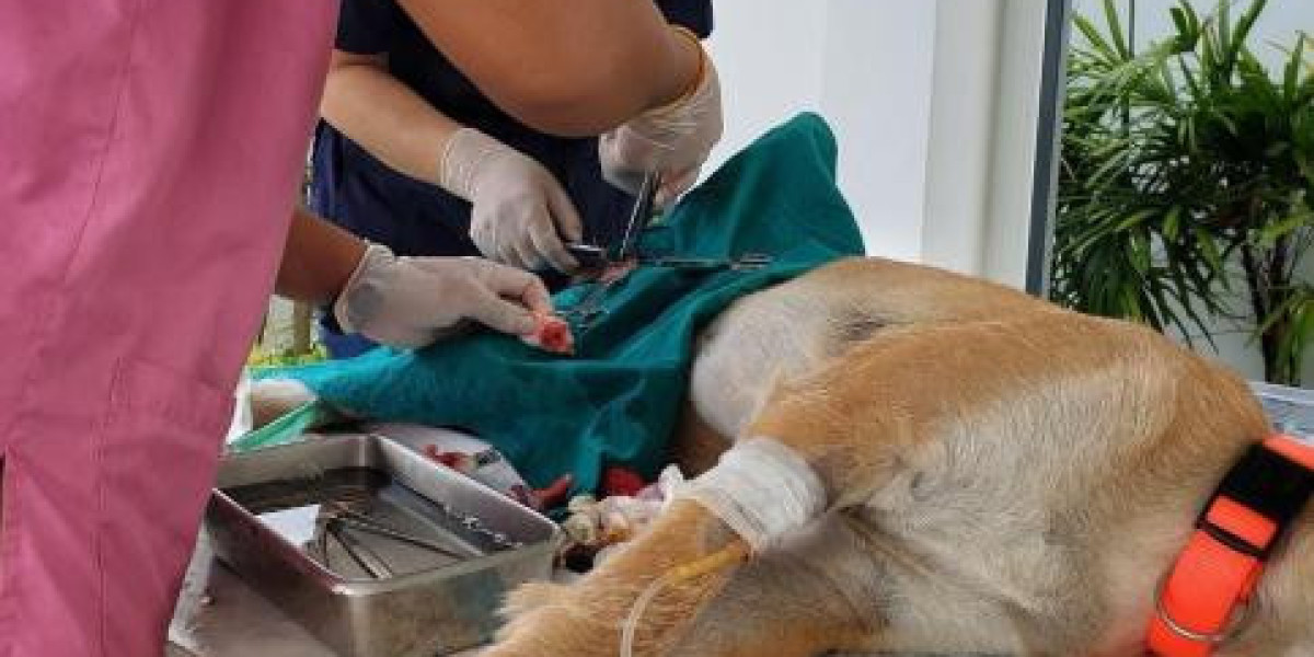 What's the Difference Vaccinated and Non-Vaccinated Dog?