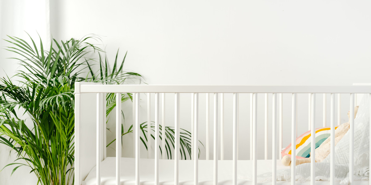 20 Trailblazers Setting The Standard In Cot Bed Sale