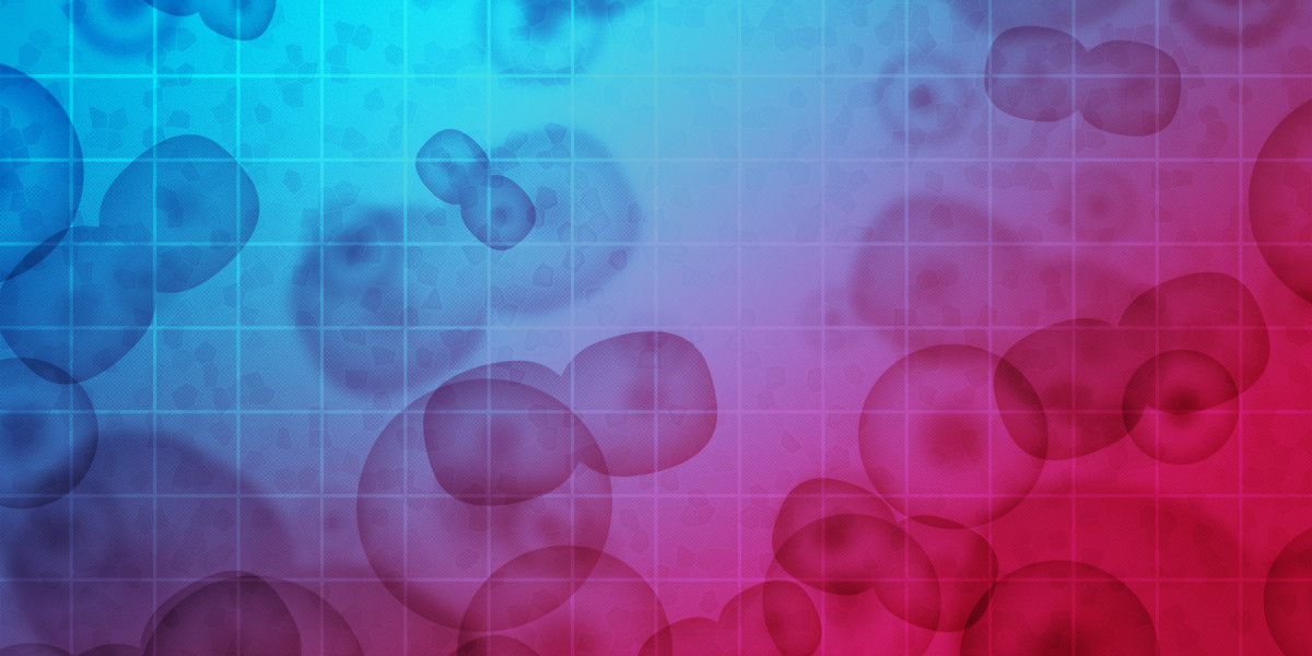 The Rise of Luxury Private Jet Charter: A new Era Of Journey