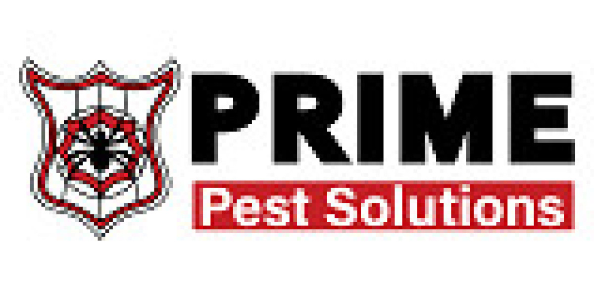 Effective Bird Control Near Me Prime Pest Solutions
