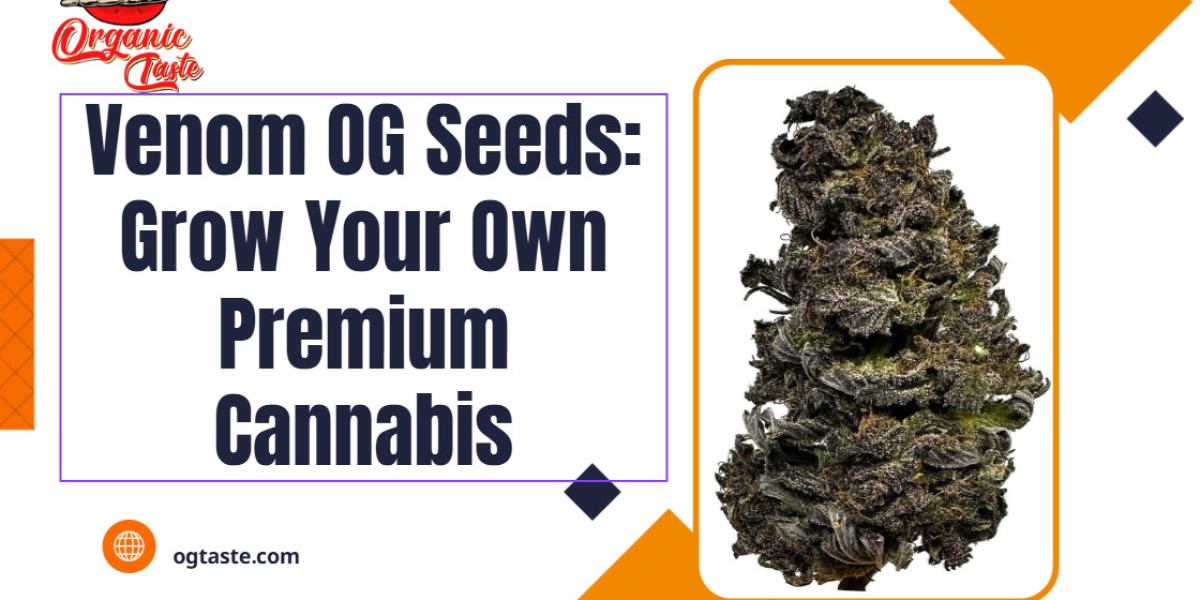 Venom OG Seeds | Grow Premium Cannabis at Home – Organic Taste