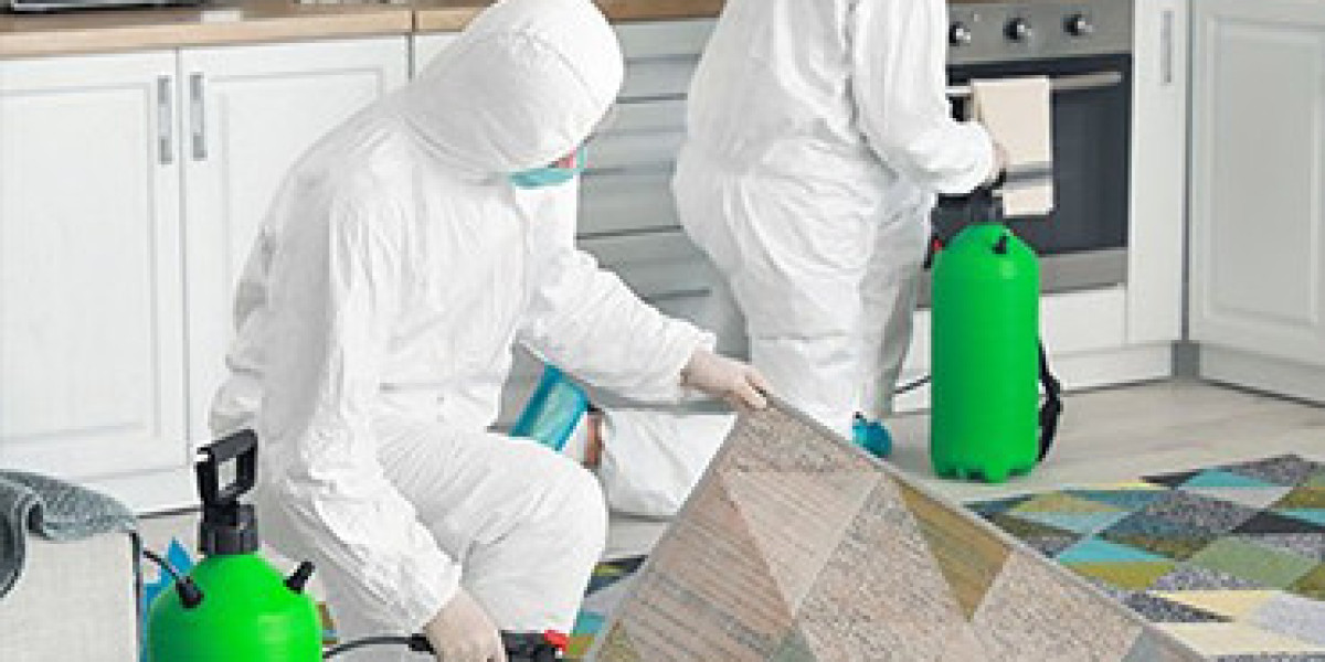 What's The Guaranteed Way of Pest Control in Toronto