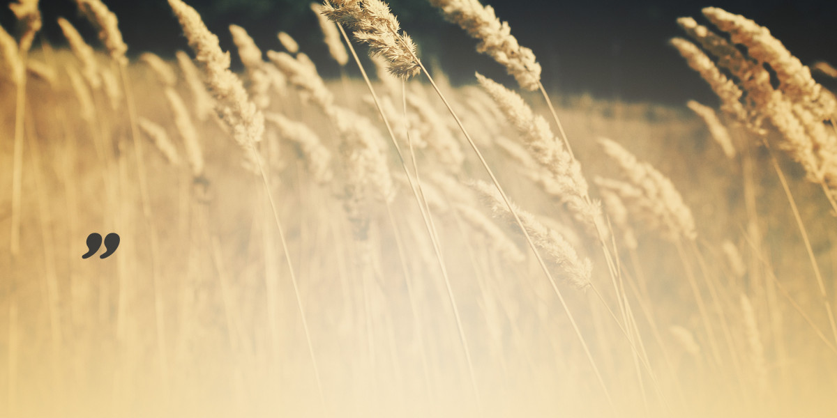 Understanding Bad Credit Personal Loan Lenders: Navigating the Pitfalls