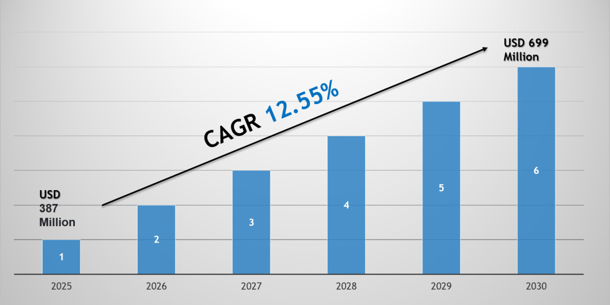 India 3D Printer Market 2030: Size, Growth Drivers & Competitive Landscape