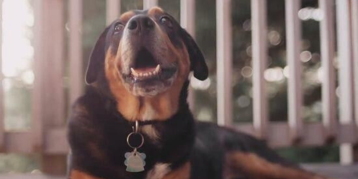 Los Angeles County Treasurer and Tax Collector