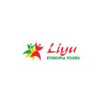 Liyu Ethiopia Tours profile picture