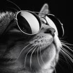 genuine tech Profile Picture