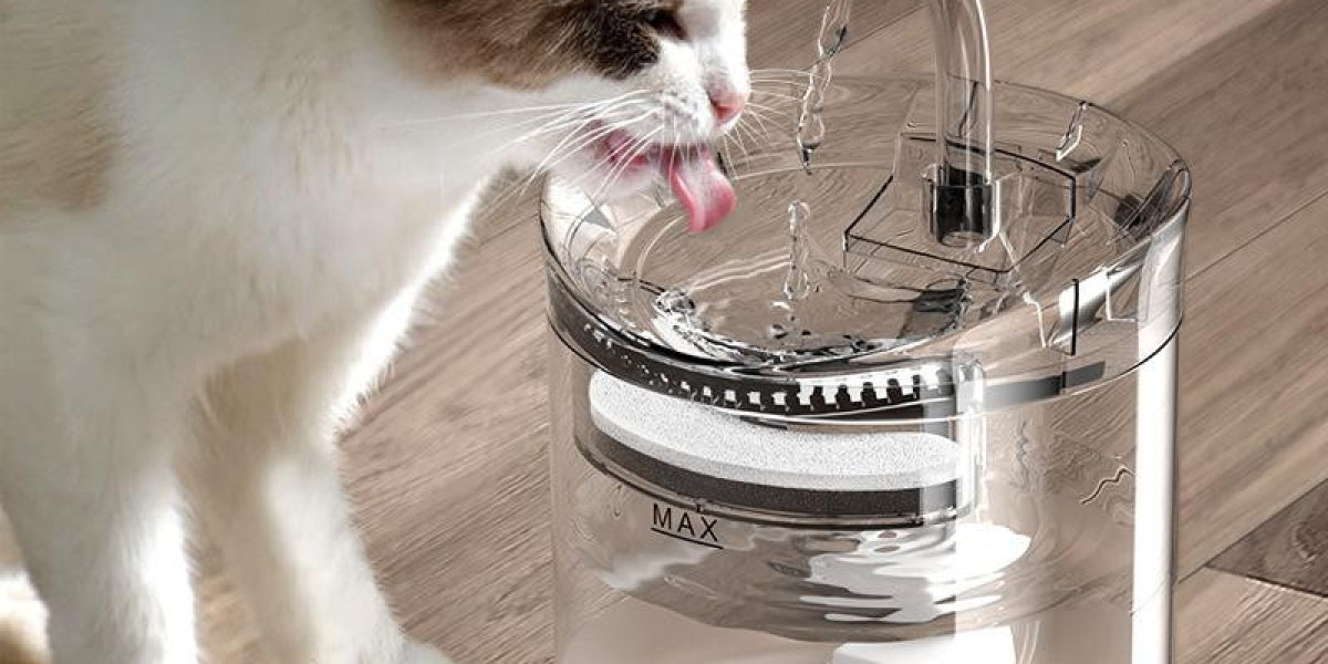 How Pawtechpet Cat Water Fountain Combines Health, Care, and Elegance