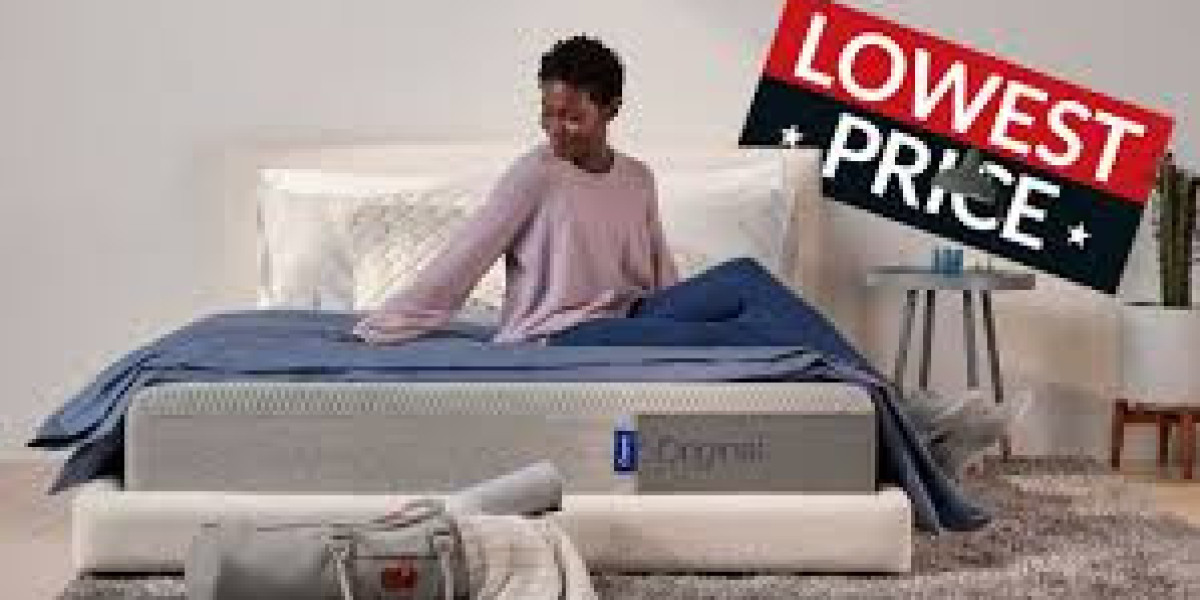 Eight Sleep Discount Code for Bachelor Apartments: One Bed, Total Smart Upgrade