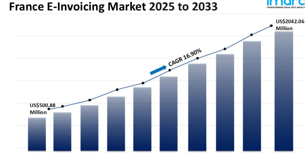 France E-Invoicing Market Size, Share, Growth, Trends and Forecast 2025-2033