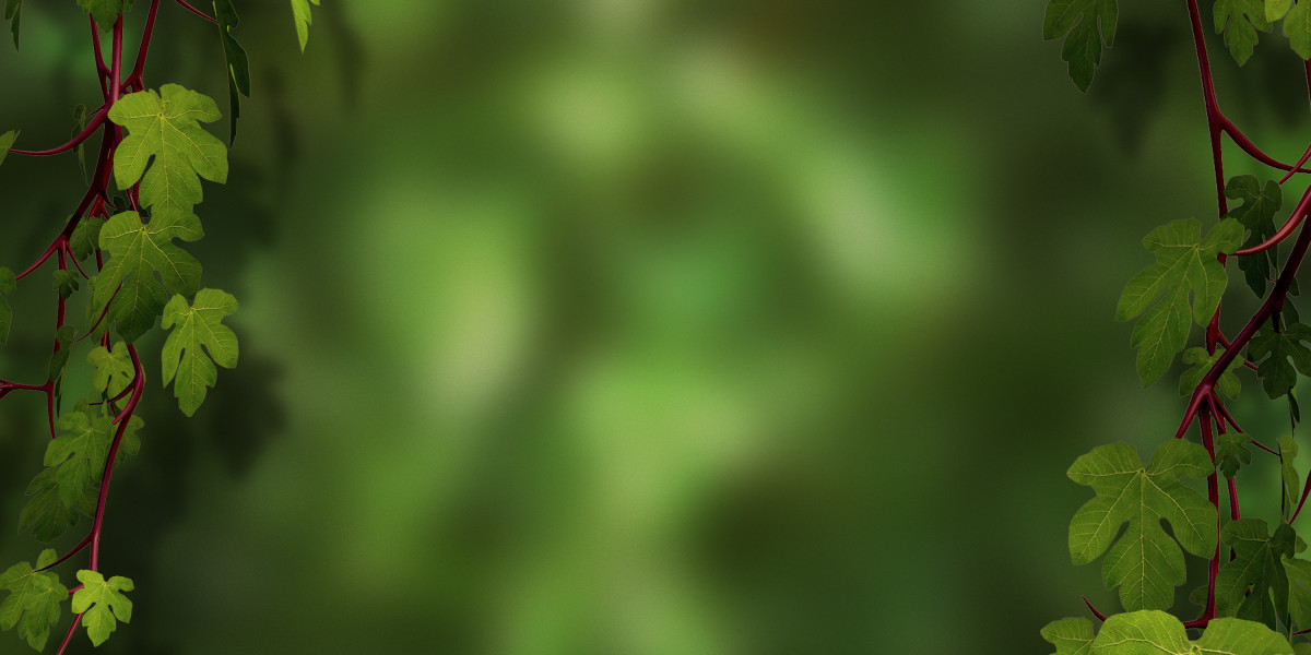 Exploring Private Jet Rental Choices Close To You: A Complete Guide