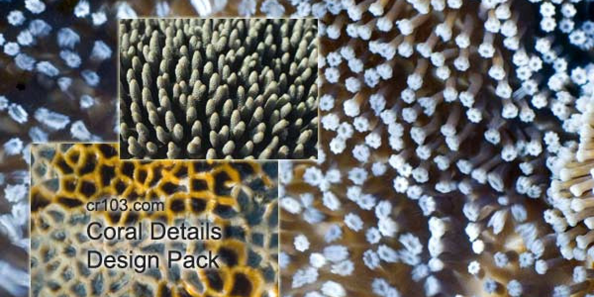 7Bit Casino 10800 CAD + 250 FS Bonus