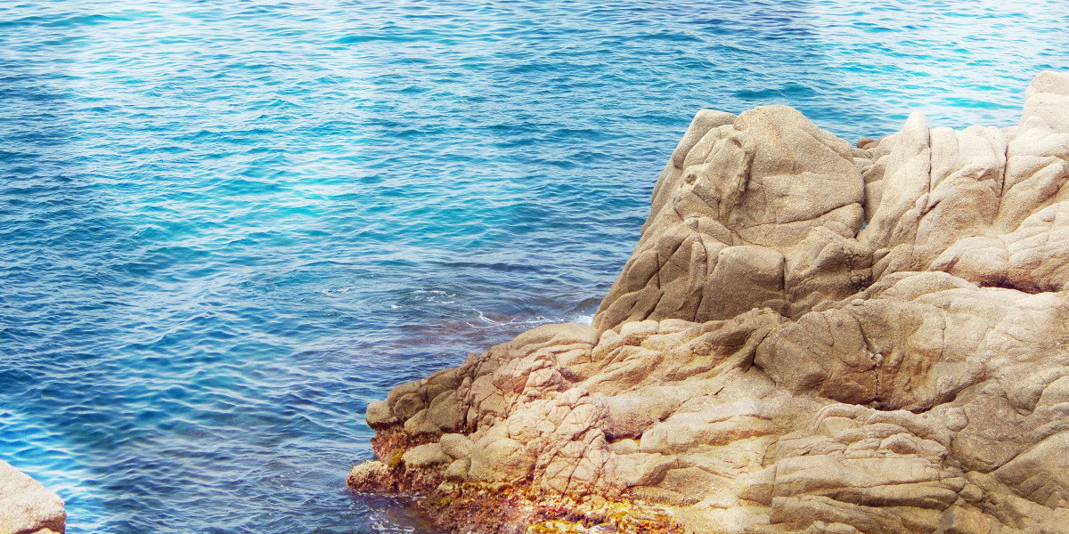 Case Study: The Usage of Modafinil (Provigil) For Cognitive Enhancement