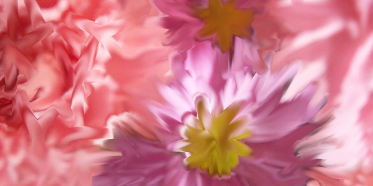 Best Online Casino Bonus Australia Top Casino Promos 2025