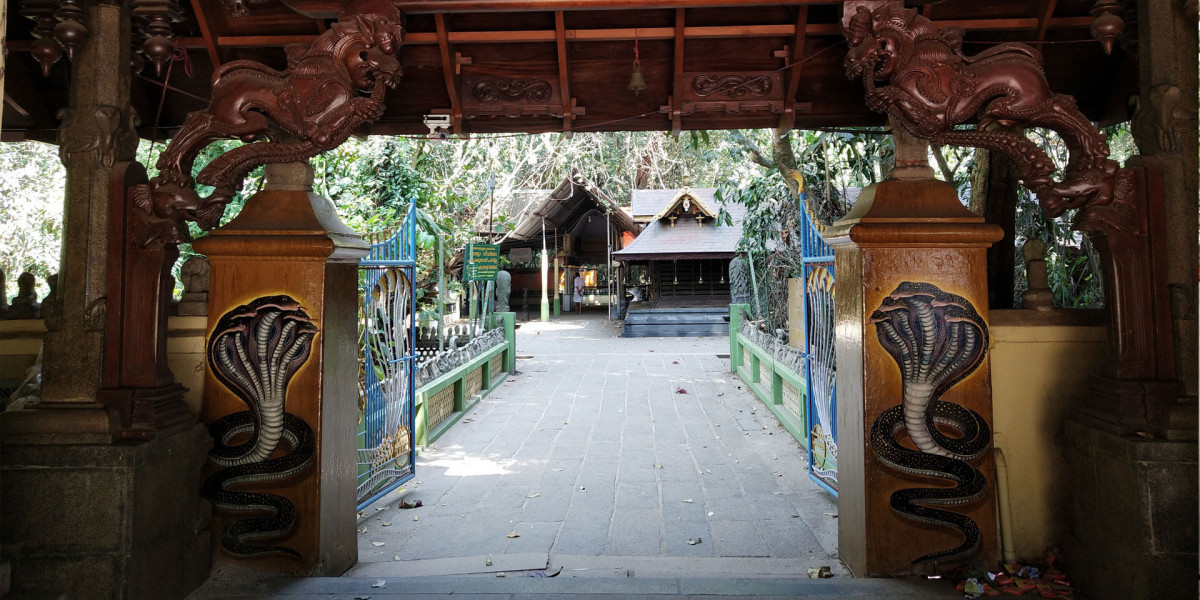 Mannarasala Ayilyam: Spiritual Snake Festival and Rituals in Kerala