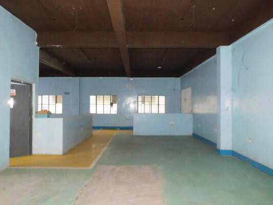 Reeltor Profile Picture