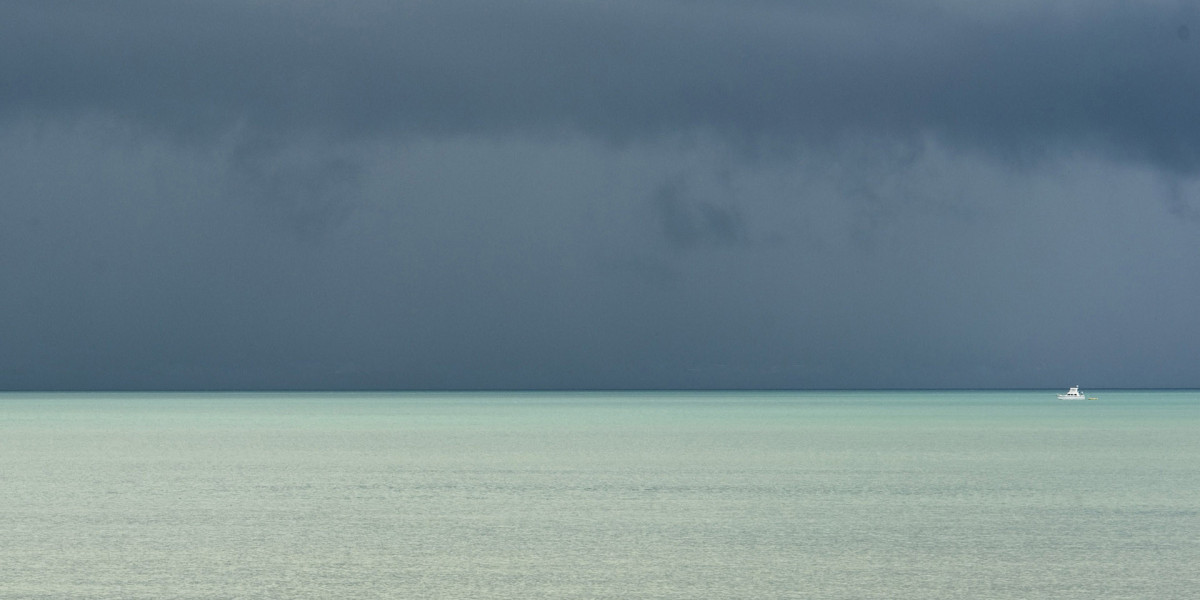 Ozwin Casino Login ᐉ Top Games, Bonuses & Secure Gaming