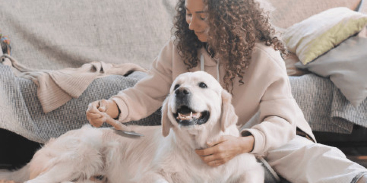 Everything You Need to Know About Pet Vaccination